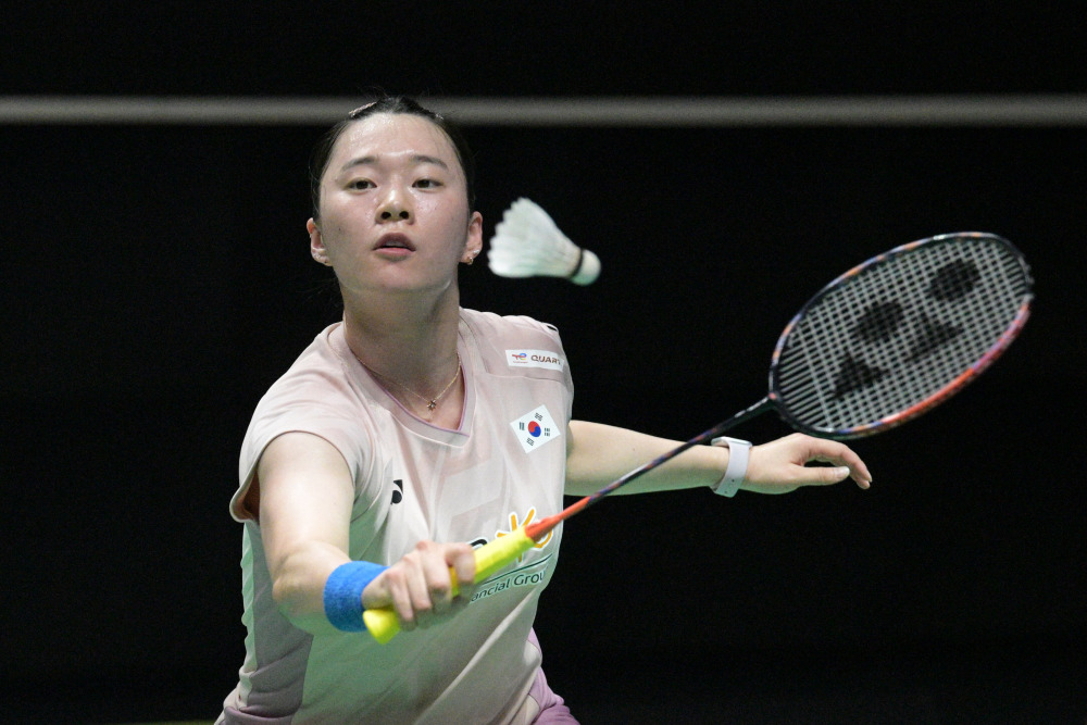 球的盛宴 球的盛宴